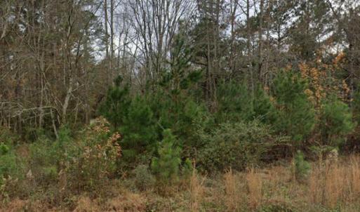 Photo #11 of 2940 Red Bluff Rd., Loris, SC 4.9 acres