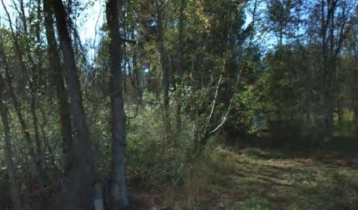 Photo #7 of 2940 Red Bluff Rd., Loris, SC 4.9 acres