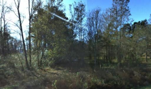 Photo #9 of 2940 Red Bluff Rd., Loris, SC 4.9 acres