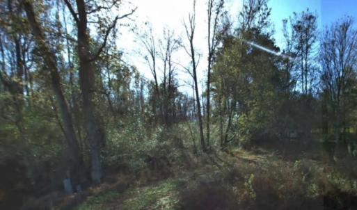 Photo #8 of 2940 Red Bluff Rd., Loris, SC 4.9 acres