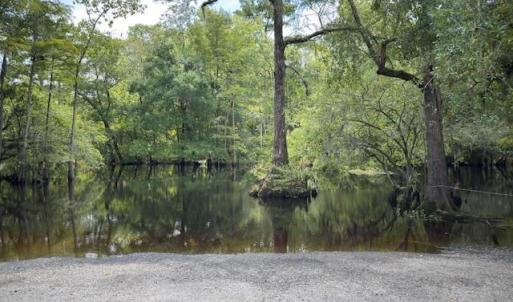 Water view with a heavily wooded area