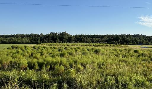 View of tree filled area featuring a view of rural