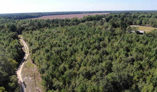 Drone / aerial view of a heavily wooded area