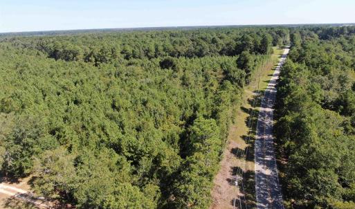 Drone / aerial view of a heavily wooded area