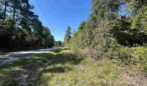 View of asphalt road with a forest view