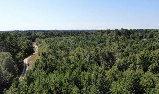 Bird's eye view of a heavily wooded area
