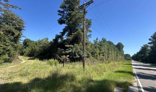 View of asphalt street with a forest view