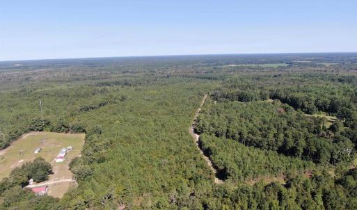 View of property location featuring a forest
