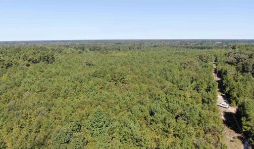 Drone / aerial view of a forest