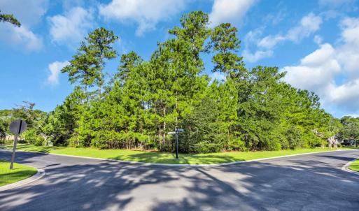 Photo #1 of 142 Creek Harbour Circle, Murrells Inlet, SC 0.6 acres