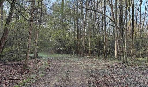 View of Path along the creek.