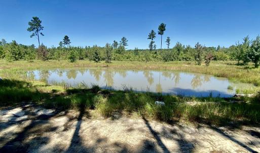 Photo #4 of 1259 Cheyenne Rd., Conway, SC 8.8 acres