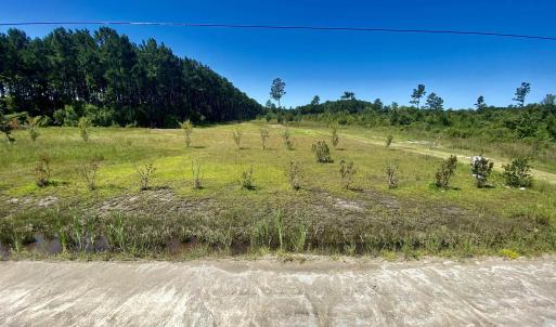 Photo #1 of 1259 Cheyenne Rd., Conway, SC 8.8 acres