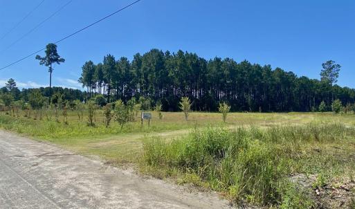 Photo #2 of 1259 Cheyenne Rd., Conway, SC 8.8 acres