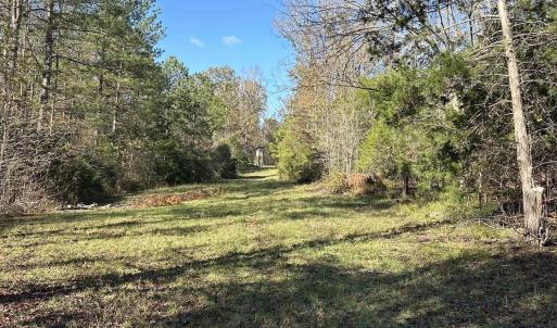 View of grassy yard featuring a wooded view