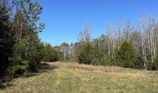 View of undeveloped land