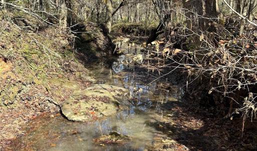 View of undeveloped land