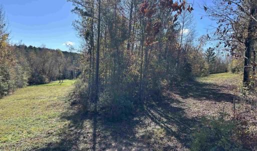 View of yard featuring a wooded view