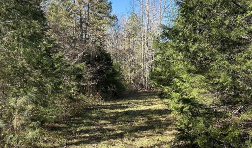 View of undeveloped land