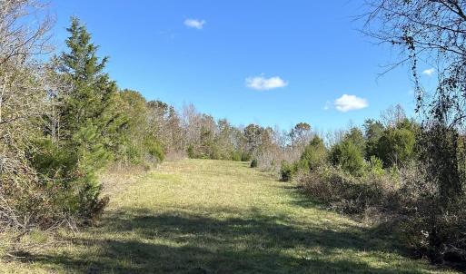 View of undeveloped land