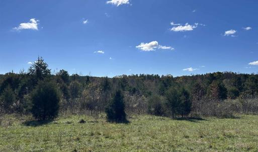 View of undeveloped land