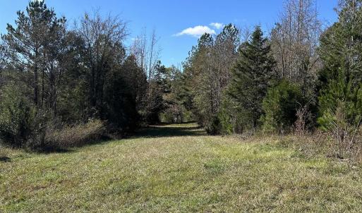 View of grassy yard with a forest view