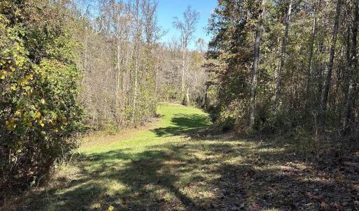 View of green lawn featuring a forest view