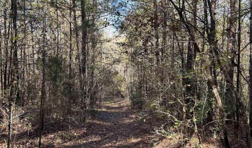 View of undeveloped land