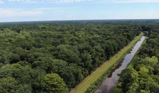 Photo #4 of 845 Old Buck Creek Rd., Longs, SC 225.0 acres
