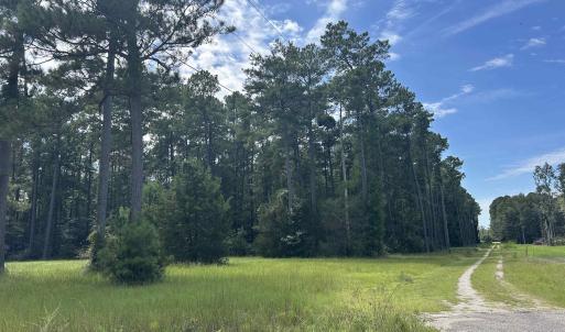 Photo #8 of 845 Old Buck Creek Rd., Longs, SC 225.0 acres