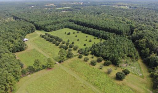 Photo #6 of 845 Old Buck Creek Rd., Longs, SC 225.0 acres