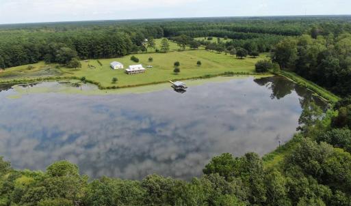 Photo #5 of 845 Old Buck Creek Rd., Longs, SC 225.0 acres