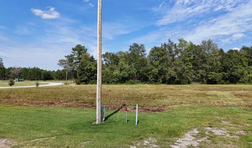 View of grassy yard