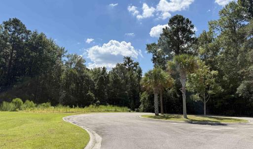 View of asphalt road with curbs and a view of tree
