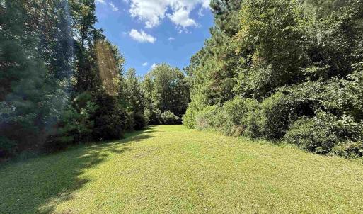 View of grassy yard featuring a forest view