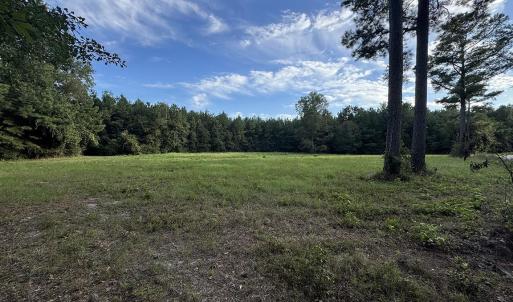 View of cleared 2 acres with a wooded view