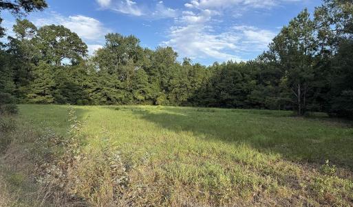 Photo #5 of TBD Dead Ridge Rd, Nichols, SC 31.9 acres