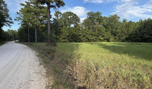 Photo #6 of TBD Dead Ridge Rd, Nichols, SC 31.9 acres