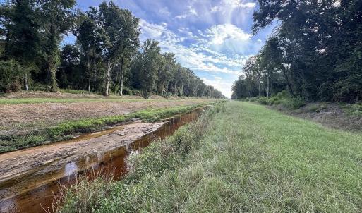 Photo #2 of TBD Dead Ridge Rd, Nichols, SC 31.9 acres