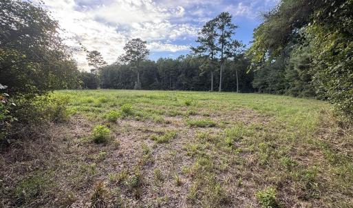 Photo #4 of TBD Dead Ridge Rd, Nichols, SC 31.9 acres