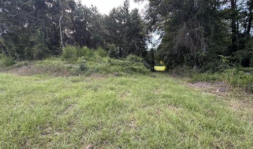 Photo #3 of TBD Dead Ridge Rd, Nichols, SC 31.7 acres