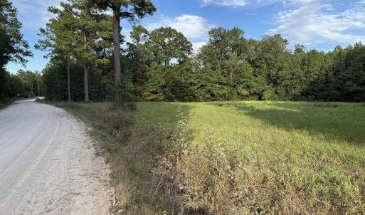 Photo #6 of TBD Dead Ridge Rd, Nichols, SC 31.7 acres