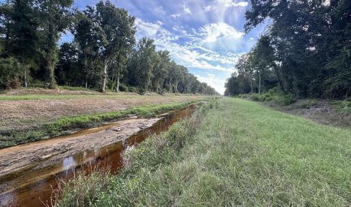 Photo #2 of TBD Dead Ridge Rd, Nichols, SC 31.7 acres