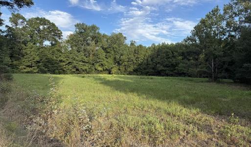 Photo #5 of TBD Dead Ridge Rd, Nichols, SC 31.7 acres