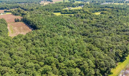 Bird's eye view of a heavily wooded area
