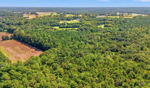Bird's eye view of a heavily wooded area