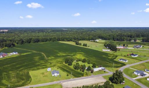 Aerial view of a forest