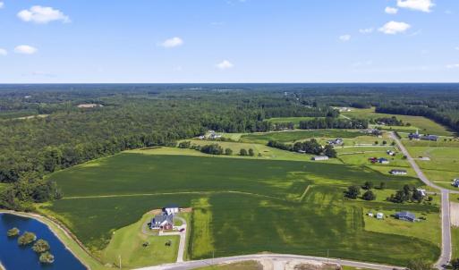 Aerial view of a large body of water and a forest