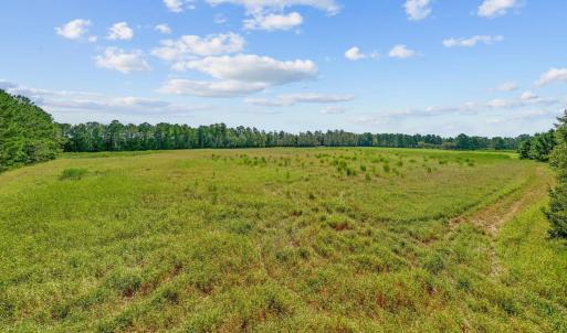 Photo #12 of Lot 1 Womack Rd., Nichols, SC 3.2 acres