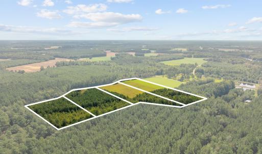 Photo #19 of LOT 4 Womack Rd., Nichols, SC 6.8 acres